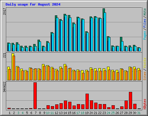 Daily usage for August 2024