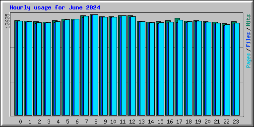 Hourly usage for June 2024