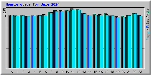 Hourly usage for July 2024