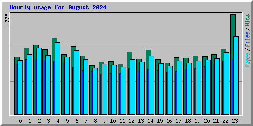 Hourly usage for August 2024