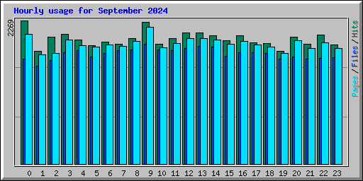 Hourly usage for September 2024