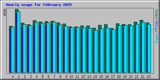 Hourly usage for February 2025