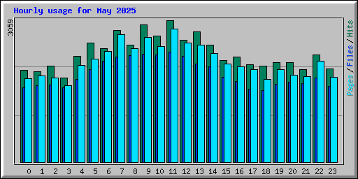 Hourly usage for May 2025