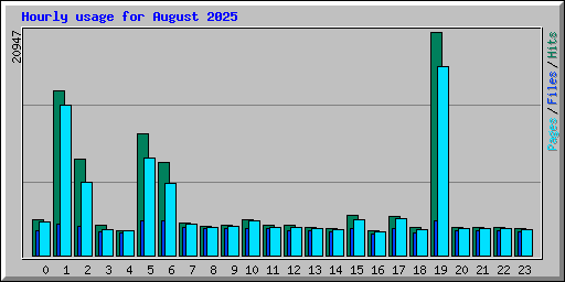 Hourly usage for August 2025