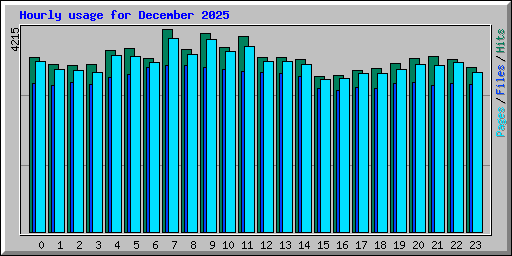 Hourly usage for December 2025