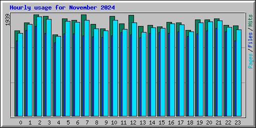 Hourly usage for November 2024