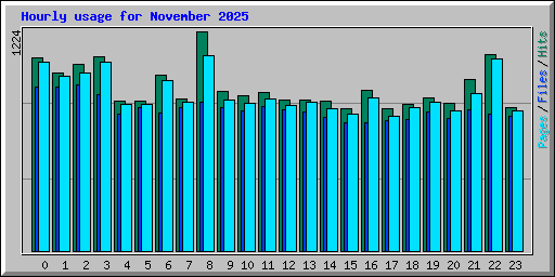 Hourly usage for November 2025